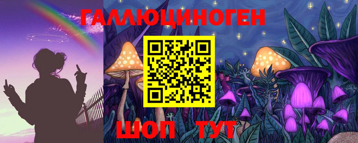 хочу   Псилоцибиновые грибы MAGIC MUSHROOMS  Вход с VPN  Лабытнанги 